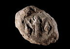 bouchon de jarre, image 1/2