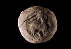 bouchon d'amphore, image 1/3