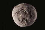 bouchon d'amphore, image 3/3