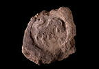 bouchon d'amphore, image 1/3