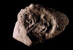 bouchon d'amphore, image 1/3