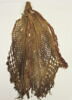 filet de tête ; fragment, image 2/3
