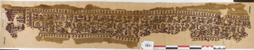 clavus ; fragment, image 1/3