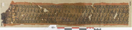 clavus ; fragment, image 1/3