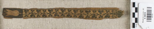 clavus, image 1/2