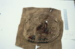 orbiculus ; fragment, image 2/2