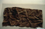 clavus ; fragments, image 3/3