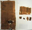 clavus ; fragments, image 2/3