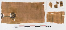 clavus ; fragments, image 1/3