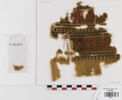 bande de poignet ; fragment, image 1/2