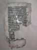 feuillet de codex ; fragment, image 2/3