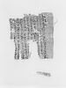 papyrus documentaire, image 1/2