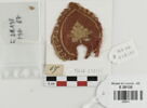 décor de textile ; fragment, image 1/2