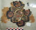 orbiculus ; clavus ; fragment, image 3/4