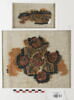 orbiculus ; clavus ; fragment, image 1/4
