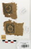 tabula  ; fragments, image 1/2