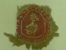 orbiculus ; fragment, image 2/2