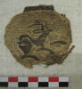orbiculus, image 3/3