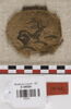 orbiculus, image 2/3