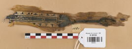 clavus, image 1/2