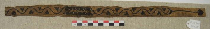 clavus, image 2/2