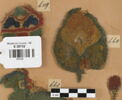 décor de textile, image 1/2