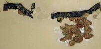 bande d'encolure ; fragments, image 2/2