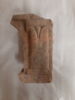 arcature ; fragment, image 1/2
