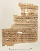 papyrus documentaire, image 1/4