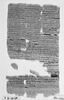 papyrus documentaire, image 3/4
