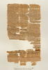 papyrus documentaire, image 1/4