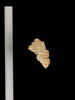 feuillet de codex ; fragment, image 1/4