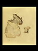 feuillet de codex ; fragment, image 1/4