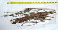 bouquet de feuilles ; bouquet de fleurs, image 14/15