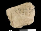 ostracon, image 1/4