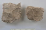 ostracon, image 3/4