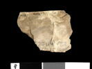 ostracon, image 2/2