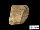 ostracon, image 1/3