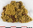 bandeau, image 1/2