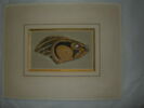 parure de cartonnage  ; collier de cartonnage, image 2/2