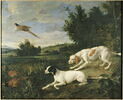 Diane et Blonde, chiennes de la meute de Louis XIV, chassant, image 1/3