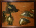 Trois canards et trois goélands, image 2/2