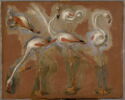 Études de flamands roses, image 1/2