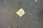 Paysage aux charbonniers, image 5/7