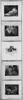 Homme avec un enfant portant des fruits, image 6/8