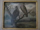 Deux émouchets, image 2/2
