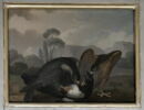 Deux oiseaux de proie terrassant une pie, image 1/2