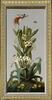 Huit tableaux représentant diverses espèces de lys : Fritillaria imperialis (Couronne impériale), Lilium pomponium (Lis pompom), image 1/2