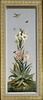 Huit tableaux représentant diverses espèces de lys : Strelitzia Reginae (Strelitzia de la Reine), image 1/2