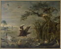 Aigles s'abattant sur des canards, image 6/6